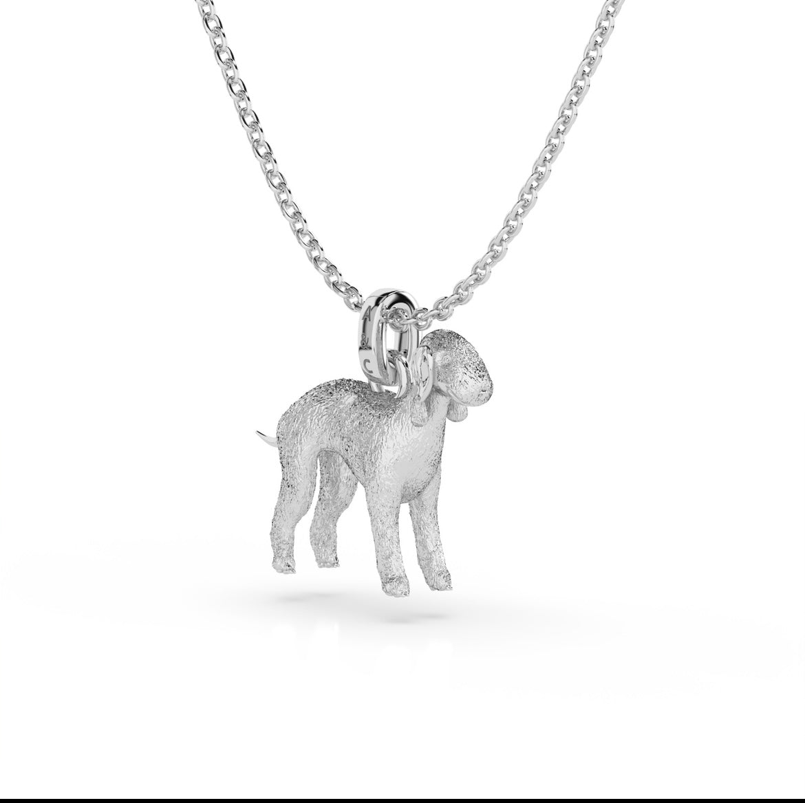 The Bedlington Terrier