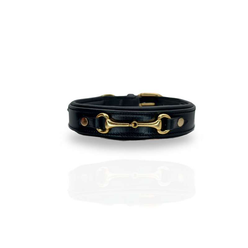 Black and gold dog collar hot sale