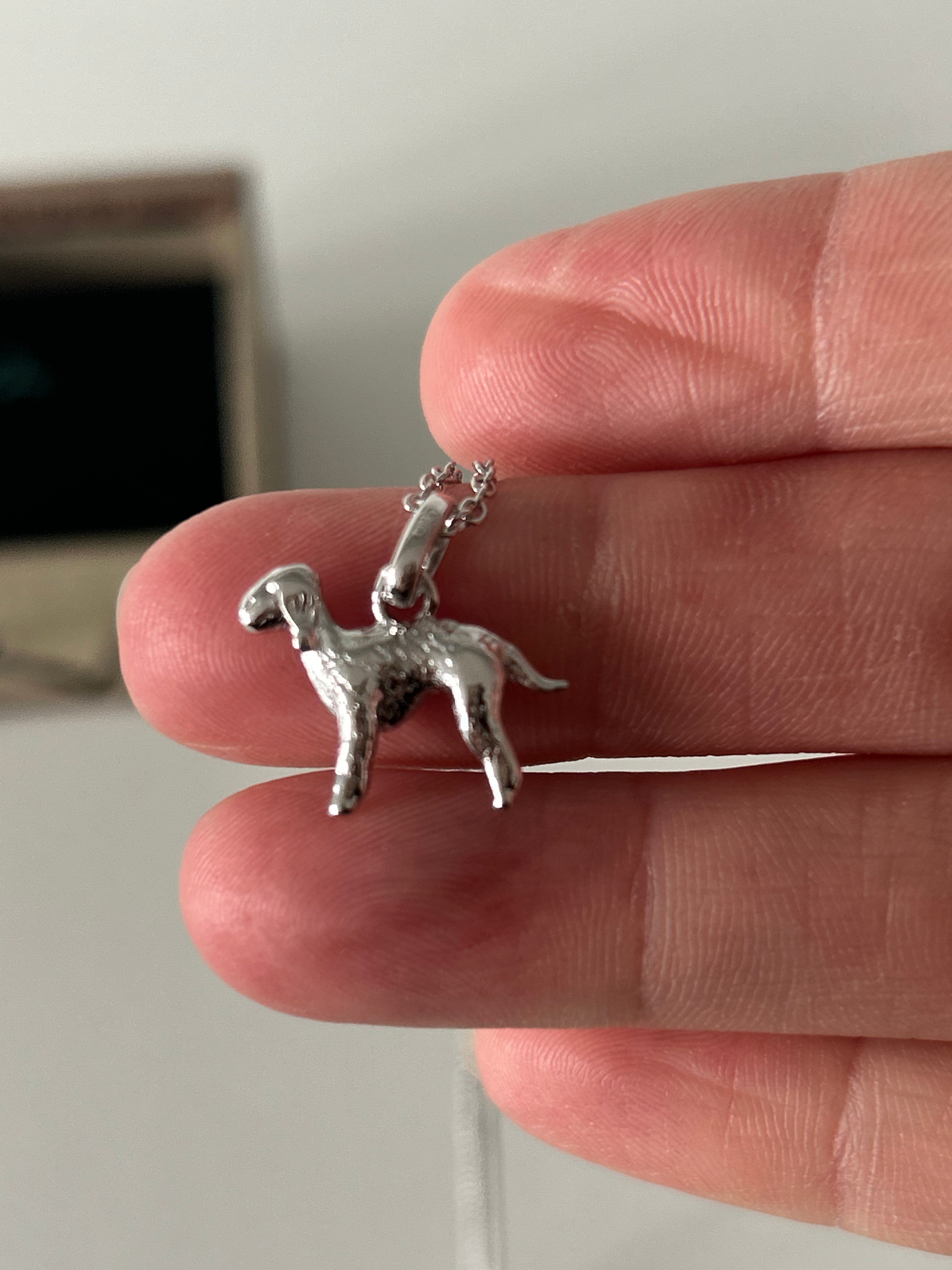 The Bedlington Terrier