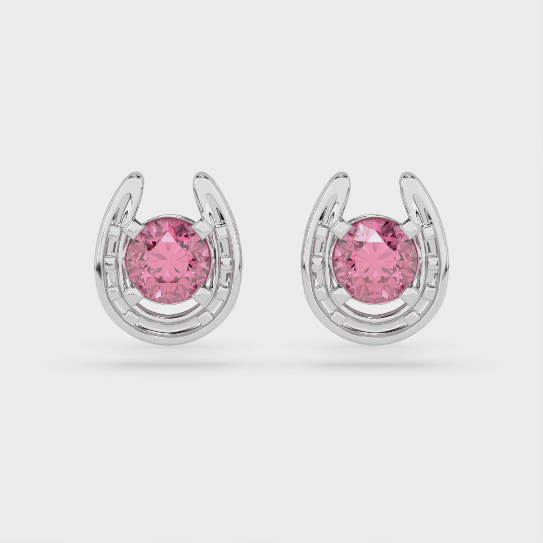 Horseshoe Birthstone Earrings