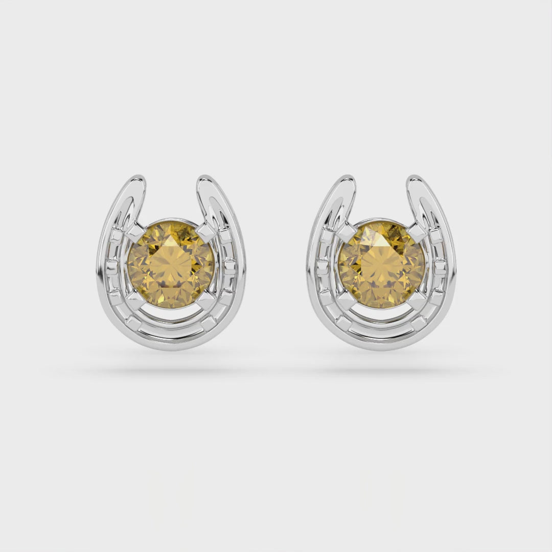 Horseshoe Birthstone Earrings